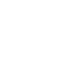 MEN'S DAY TEAM