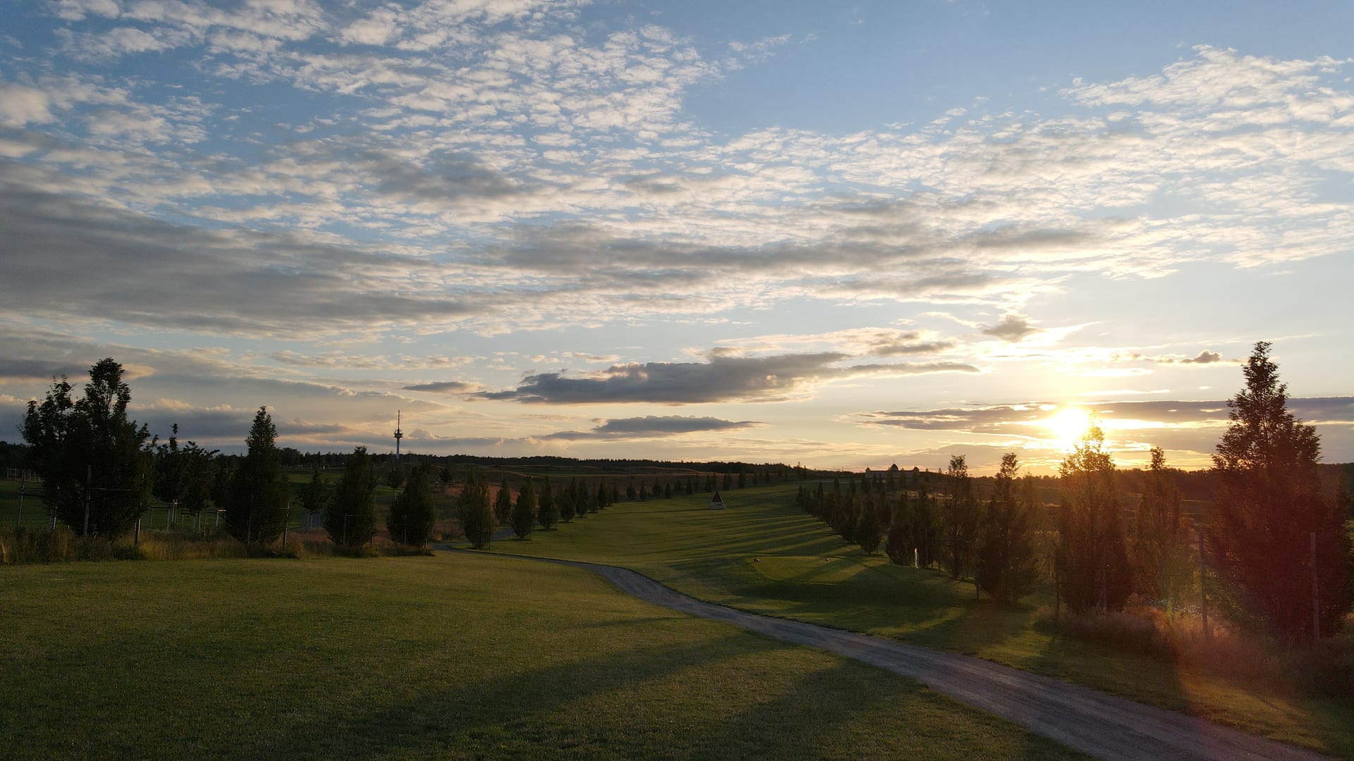 Fairway-Allee im Abendlicht